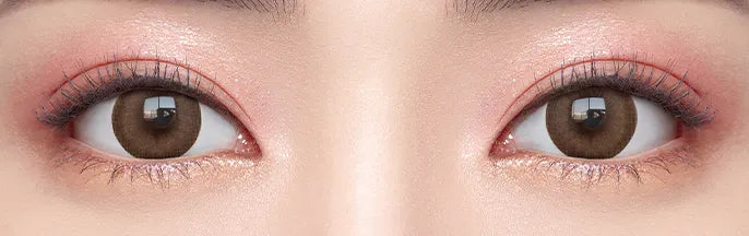 O-Lens Evershine Mocha Brown | Daily 10 Pairs