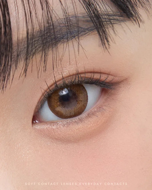 O-Lens Evershine Brown | Daily 5 Pairs