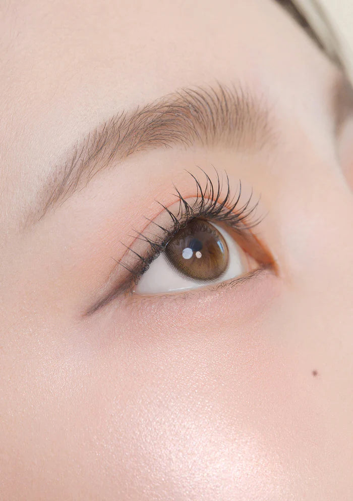 Chuu Lens Daisy Shower Pure Brown | Daily 5 Pairs