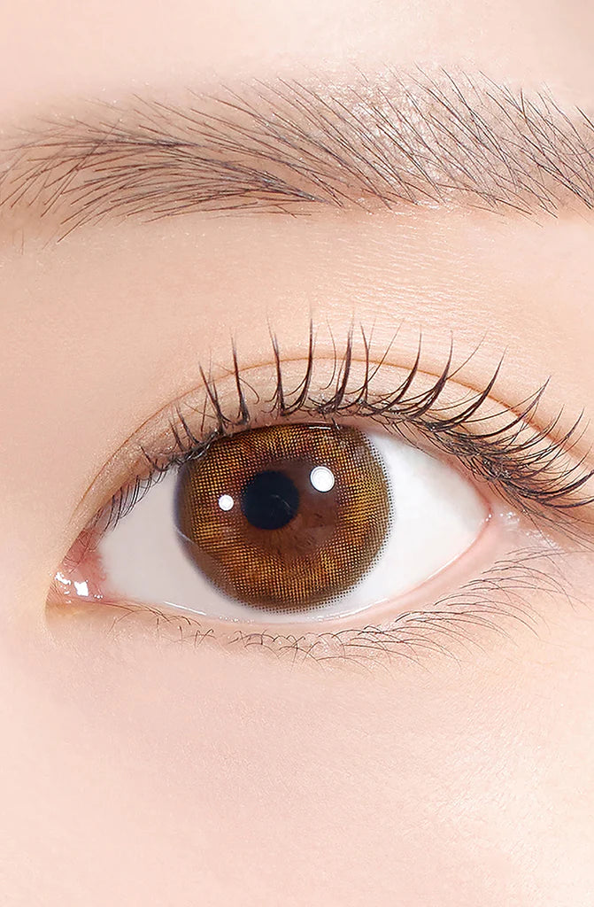 Hapa Kristin Bittersweet Kristin - Amber Brown | 1 Month