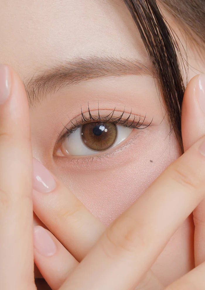 Chuu Lens Daisy Shower Pure Brown | Daily 5 Pairs