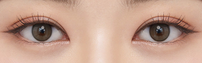 O-Lens Real Ring Gray | Daily 5 Pairs