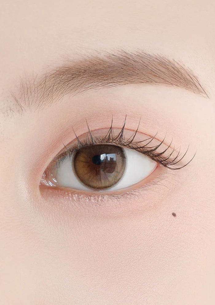Chuu Lens Daisy Shower Pure Brown | Daily 5 Pairs