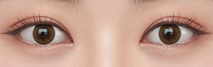 O-Lens Shine Touch Milky Brown | Daily 10 Pairs