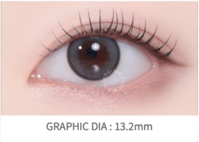 LensMe Ashiz Gray | 1 Month