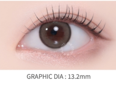 LensMe Ashiz Brown | 1 Month