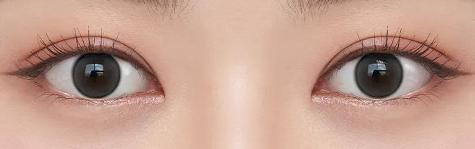 O-Lens Shine Touch Milky Gray | Daily 5 Pairs