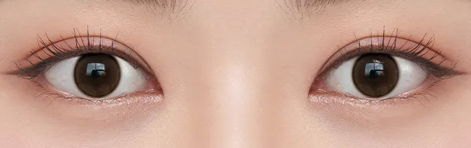 O-Lens Shine Touch Milky Choco | Daily 10 Pairs