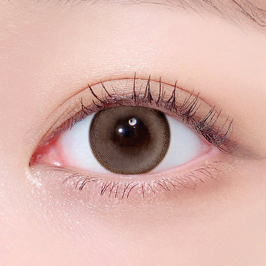 LensTown Odd I's M Pure Light Brown | 1 Month