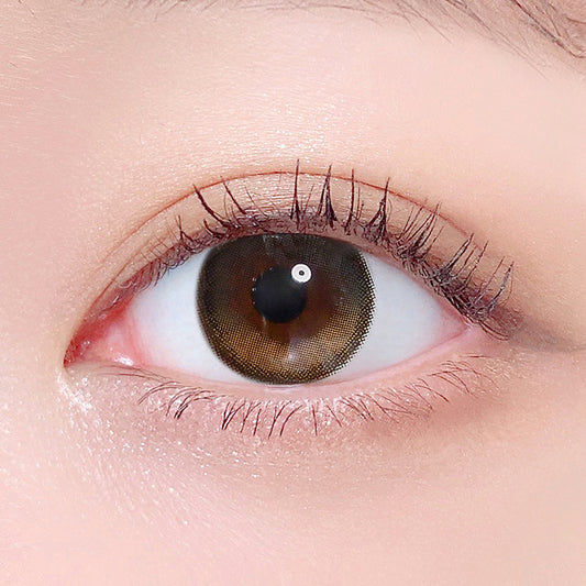 LensTown 2Tobetter big 1day Brown | Daily 5 Pairs