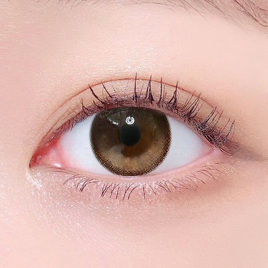 LensTown 2Tobetter big 1day Black | Daily 5 Pairs