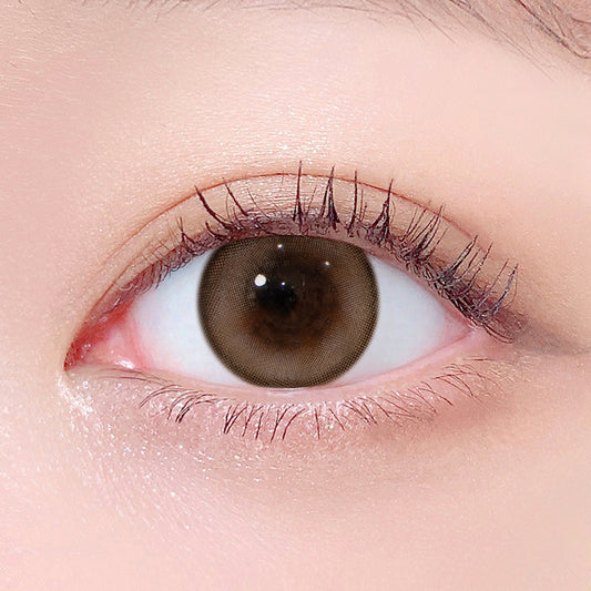 LensTown 247 Bom Brown | Daily 5 Pairs