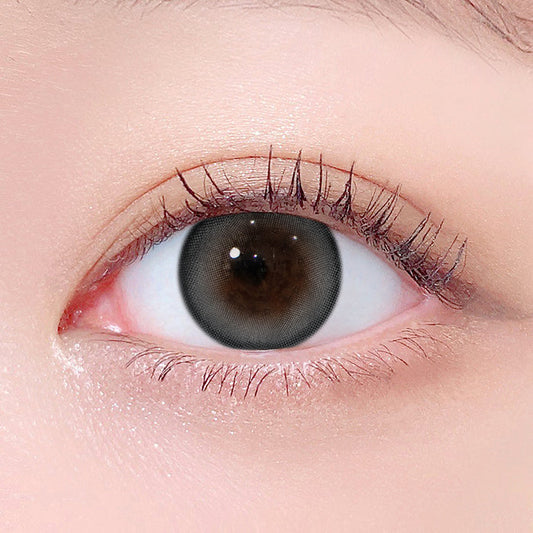 LensTown 247 Bom Gray | 1 Month