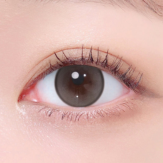 LensTown Beloved Gray | 1 Month