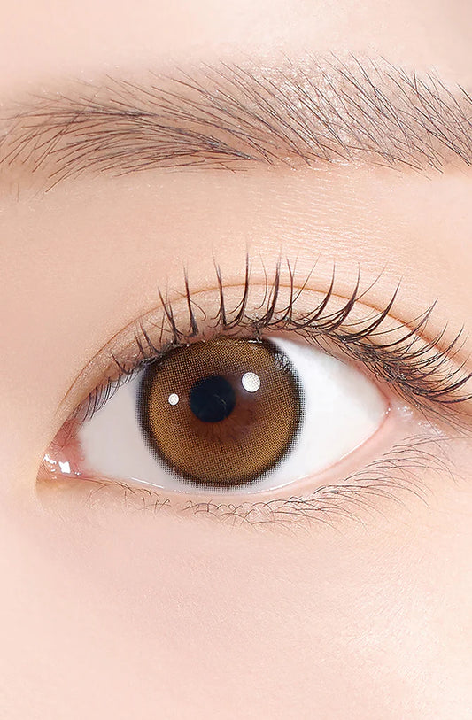 Hapa Kristin First Love Kristin - Brown | Daily 5 Pairs