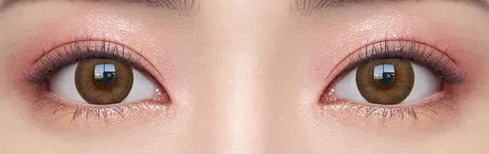 O-Lens Evershine Brown | Daily 5 Pairs