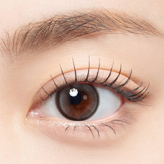 Hapa Kristin First Love Kristin - Gray | Daily 5 Pairs