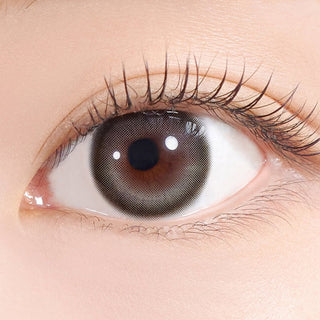 Hapa Kristin One & Only Kristin Big Plus (13.8) Gray | Daily 5 Pairs