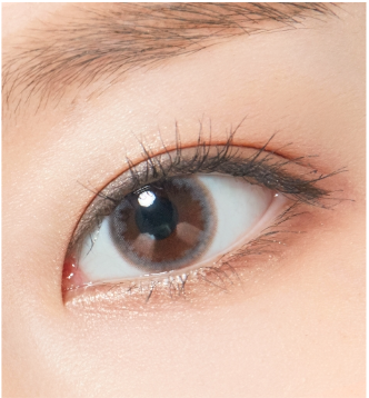 LensTown Bombi Gray | 1 Month - STLook