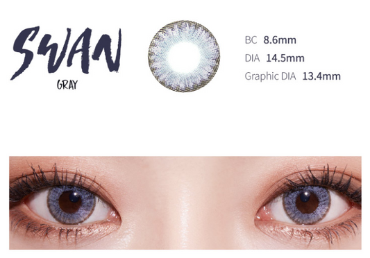 LensTown Swan Gray | 1 Month - STLook