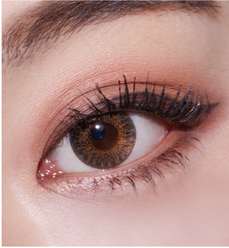 LensTown Swan Choco | 1 Month - STLook