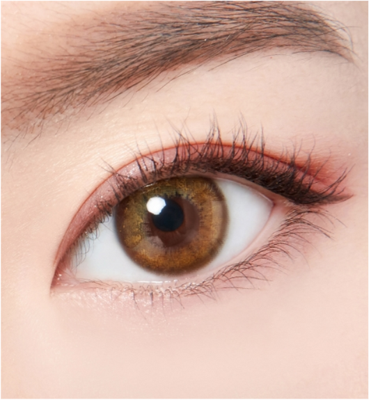 LensTown Retrogia Brown | 1 Month - STLook