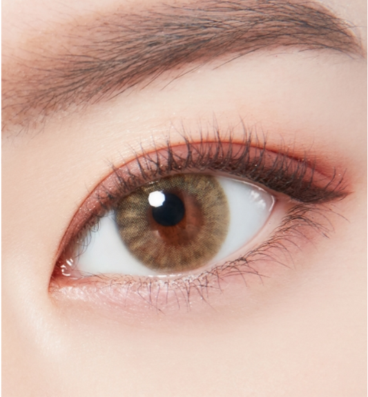 LensTown Hold Night Brown | 1 Month - STLook