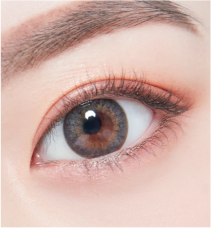 LensTown Happy Holi Gray | 1 Month - STLook