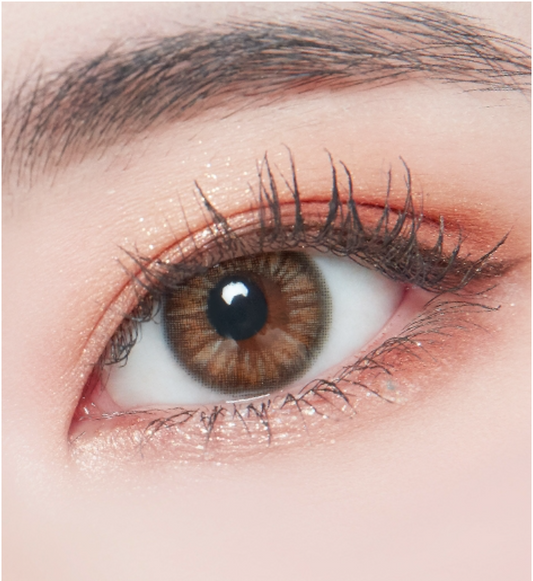 LensTown Uni Cozy Brown | 1 Month - STLook