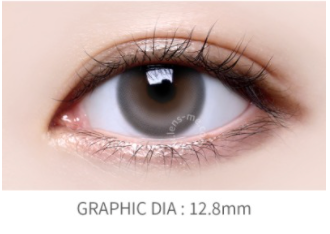 LensMe Torica Lil Moon Skin Gray | Astig | 6 Months