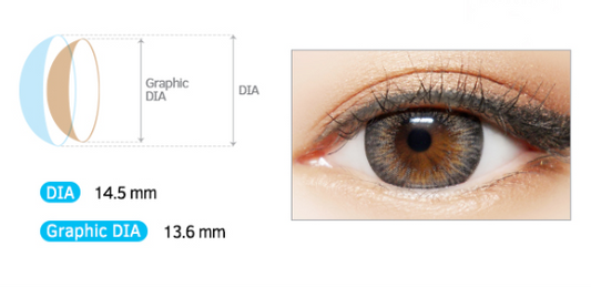 LensMe Romeo Gray | 1 Month