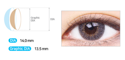 LensMe Water Ample 3Color Gray | 1 Month