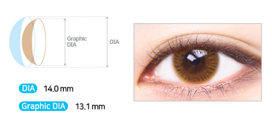 LensMe Water Ample Brown | 1 Month