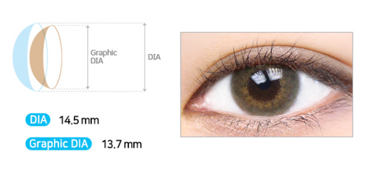 LensMe Shine Ample 3Color Brown | 1 Month