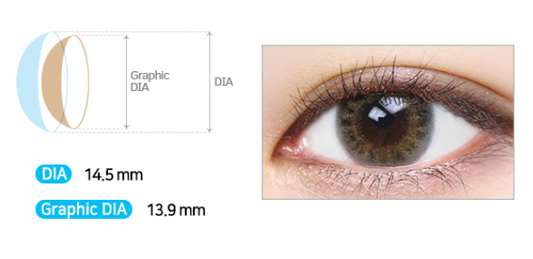 LensMe Silk Ample 3Color Brown | 1 Month