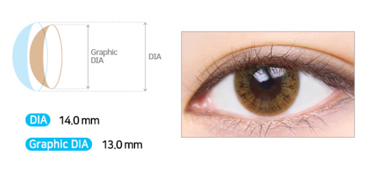 LensMe Silk Ample Brown | 1 Month