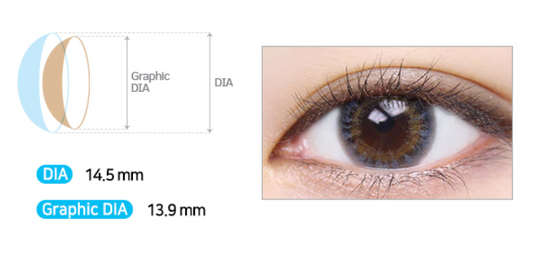 LensMe Silk Ample 3Color Gray | 1 Month