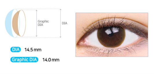 LensMe Shine Ample Choco | 1 Month