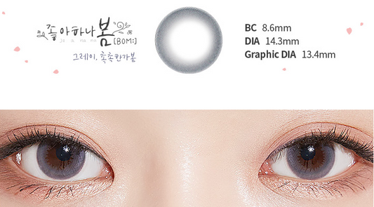 LensTown Good Spring Gray | Daily 5 Pairs - STLook