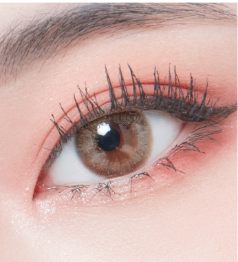 LensTown Lighly Lily Brown | Daily 10 Pairs - STLook