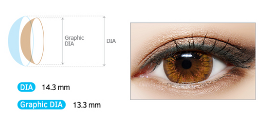 LensMe Noble Shine Bikini Brown | 3-6 Months