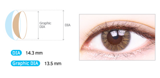 LensMe Noble Shine Soul Brown | 3-6 Months