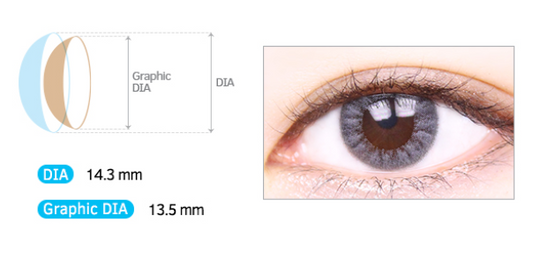 LensMe Noble Shine Soul Gray | 3-6 Months