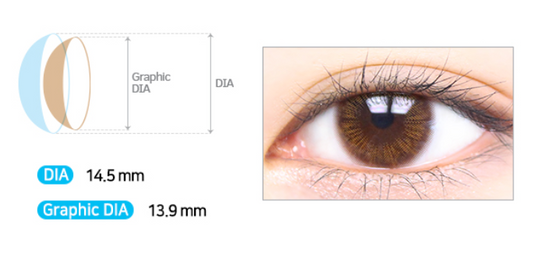 LensMe Yozo Lady Brown | 3-6 Months