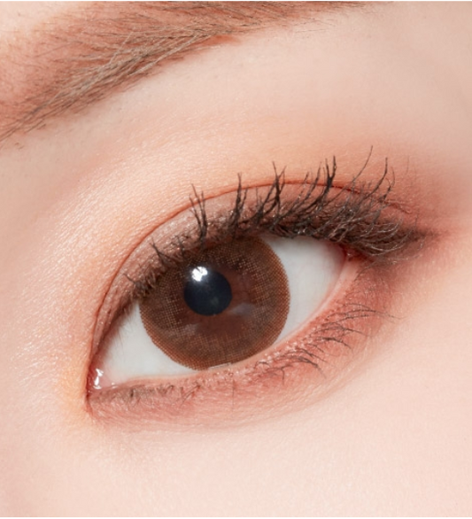 LensTown Lighly Classic Light Brown | Daily 10 Pairs - STLook