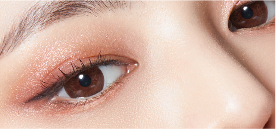 LensTown Lighly Classic Brown | Daily 10 Pairs - STLook
