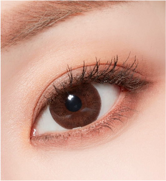 LensTown Lighly Classic Brown | Daily 10 Pairs - STLook