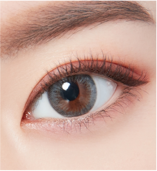 LensTown Lighly Modern Gray | Daily 10 Pairs - STLook