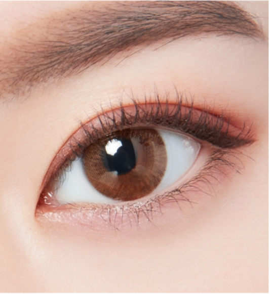 LensTown Lighly Modern Brown | Daily 10 Pairs - STLook