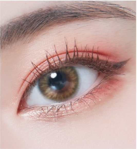 LensTown Lighly Pastel Brown | Daily 10 Pairs - STLook